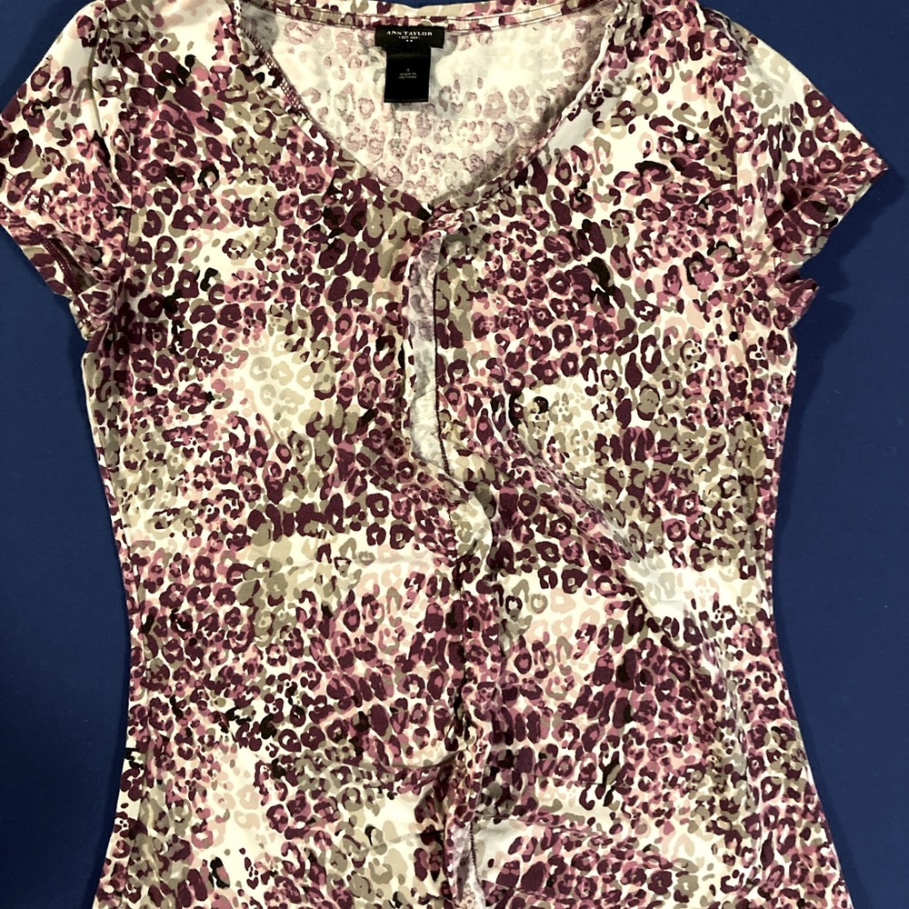 Ann Taylor, size small top.